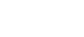 Inspekta